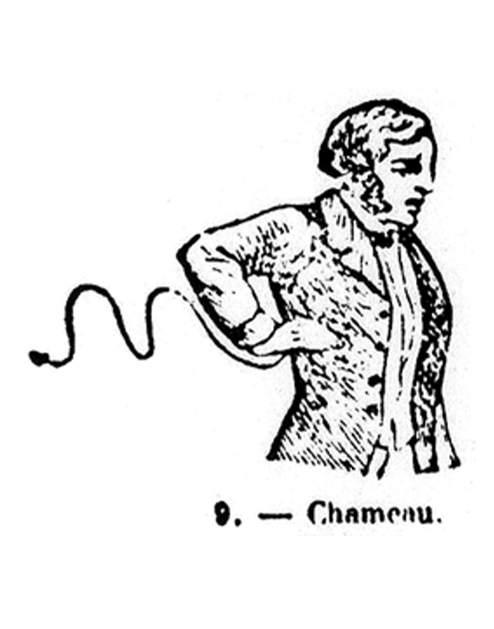 lsf-chameau